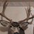 Richard Cool's profile image