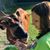 Janel Cobianchi's profile image