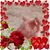 Luisa Rebecca Abella's profile image