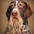 Mark Hart's profile image