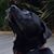 Mike Gravitz's profile image