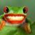 Tina Darnell Hanlon's profile image