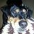 Frank Krupinski's profile image
