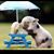 Lori Wrest's profile image