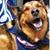 Annie Santomassimo's profile image
