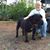 Vincent Marantz's profile image
