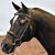 Missy Tansey's profile image