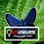 Becky Sundquist's profile image