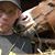 Michael Cortese's profile image