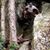 Jamie Speelman's profile image