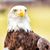 Ladean Hix's profile image