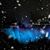 Brenda S. Bergeron's profile image