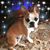 Paula Taylor's profile image