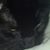 Betty Erickson's profile image