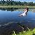 Christine Villarreal's profile image