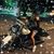 Katie Hoerner's profile image
