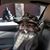Brandon Menaged's profile image
