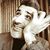 Emanuele Tini's profile image