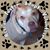 Susan Donner's profile image