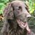 Coby Klepper's profile image