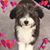 Gail Spang Neil's profile image