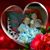Chelsea Hackett's profile image