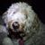 Konrad Orthwein's profile image