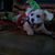 Mary L. Royer's profile image