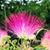 Janet N David Reno's profile image