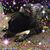 Gina Magnuson's profile image
