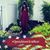 Janene Suriano Yarborough's profile image