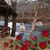 Deborah Lowery's profile image