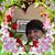 Lisa Marie Sacco's profile image