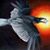 Lita Purdy's profile image