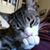 Jeanne McAlpin's profile image