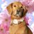 Cynthia Mott's profile image