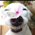 Kelly Broxton's profile image