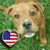 Kimber Bush's profile image