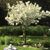 Sandi Brown's profile image