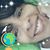 Elizabeth Mejia's profile image