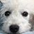 Jane Nicholas's profile image