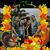 Cindy Clifton Loomis's profile image