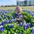 Melissa Caine Christiansen's profile image