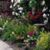 Kathy Skow's profile image