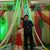 Ajay Sharma's profile image
