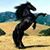 Carlos Sanchez's profile image