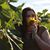 Kaitlyn Warfield's profile image