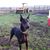 Kristy Kiser Artman's profile image