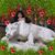 Beth Jackson's profile image