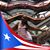 Yolanda Tricoche's profile image